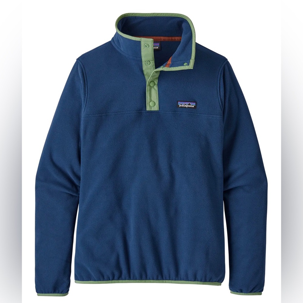 Patagonia Micro D Snap-T Fleece Pullover